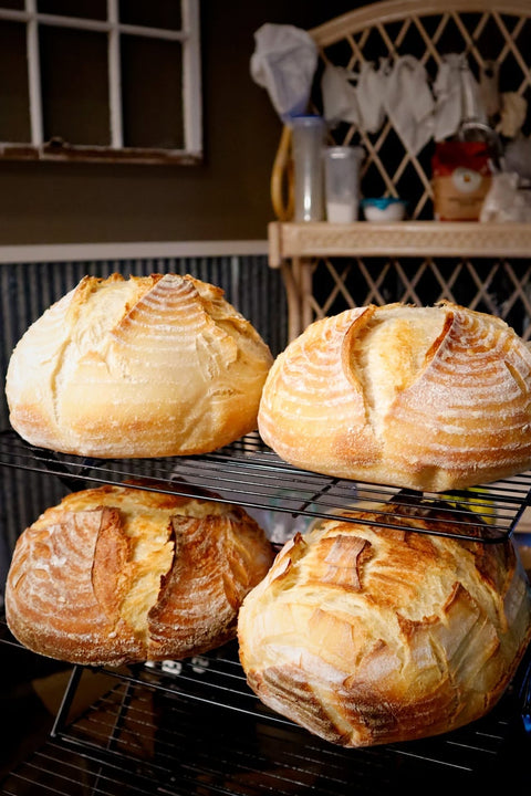 Four freshly baked sourdough bread loaves on a black metal cooling rack in a rustic kitchen setting.